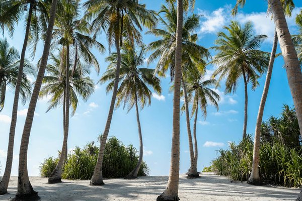 Quel budget pour les jo 2024 ? préparez votre séjour à paris !