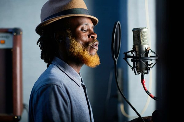 Quels sont les meilleurs endroits pour observer les singes en Indonésie ?