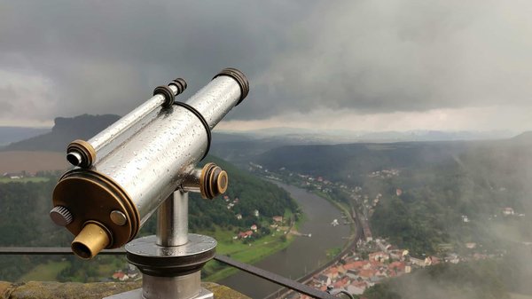 Comment organiser un camping pour observer la faune marine depuis la côte?