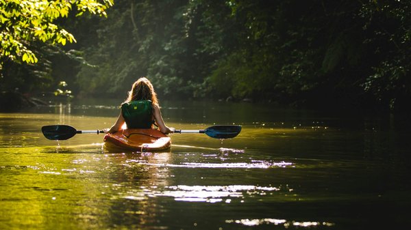 Quelles croisières offrent des excursions pour explorer les fjords chiliens en kayak?